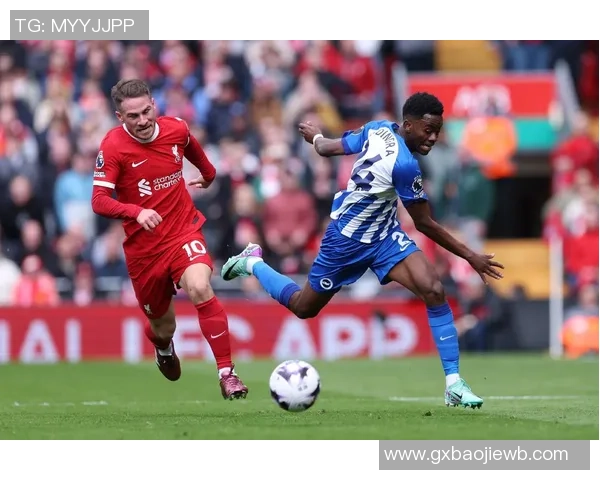 上海足球明星汇聚名单揭晓各路球星齐聚这座魅力之城