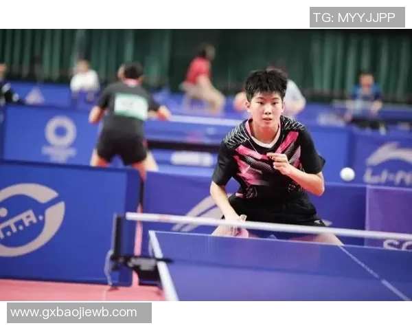 乒乓球的魅力：深入分析西安乒乓球队员的个人技术与实力