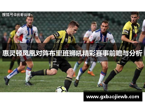 惠灵顿凤凰对阵布里班狮吼精彩赛事前瞻与分析
